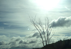 Original Photography