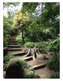 Going Up The Path.  A Journal. A Notebook. A Sketchbook.