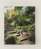 Going Up The Path photo canvas print, Botanical Garden, San Francisco, Golden Gate Park, Athenais Art, Wall decor, wall hanging, canvas print, motivational