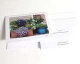 In Bloom photo card, Flowers in bloom photo cards, All purpose card for Mother's Day, Birthday Card, Thanksgiving  card, blank card, Photo of Spring Summer flower boxess