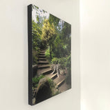 The Path You Take. Going Up. (Photo Print on Canvas 16" x 20" x 1"). Botanical Garden, San Francisco