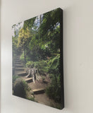 The Path You Take. Going Up. (Photo Print on Canvas 16" x 20" x 1"). Botanical Garden, San Francisco