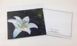 White Lily ~ Note Cards