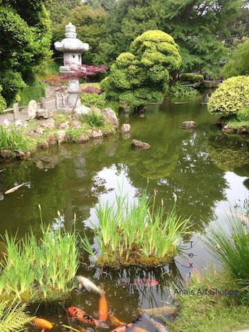 Koi fish pond with pagoda in the Japanese Tea Garden in San Francisco in California. Inspirational calming photo for nature lover, meditation.