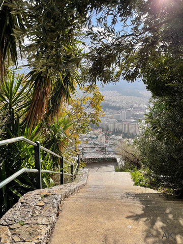 Athens, Greece - Through the Trees, Digital Photo