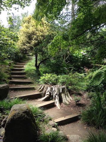 The Path - Going Up, Original photograph of Botanical Garden, San Francisco, California, Inspirational Photo for Graduation, Retirement, Weddings, Promotion, New Career 