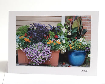 Flowers in bloom photo greeting cards, All purpose card for Mother's Day, Birthday Card, Thanksgiving  card, blank card, Photo of Spring Summer flower boxess