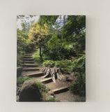 Athens Art, original photography,Going Up The Path photo canvas print, Botanical Garden, San Francisco,