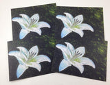 White Lily Art Cards - All Purpose Blank Cards