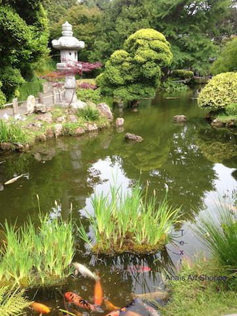 Koi fish pond with pagoda in the Japanese Tea Garden in San Francisco in California. Inspirational calming photo for nature  lover, meditation.