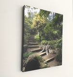 The Path You Take. Going Up. (Photo Print on Canvas 16" x 20" x 1"). Botanical Garden, San Francisco